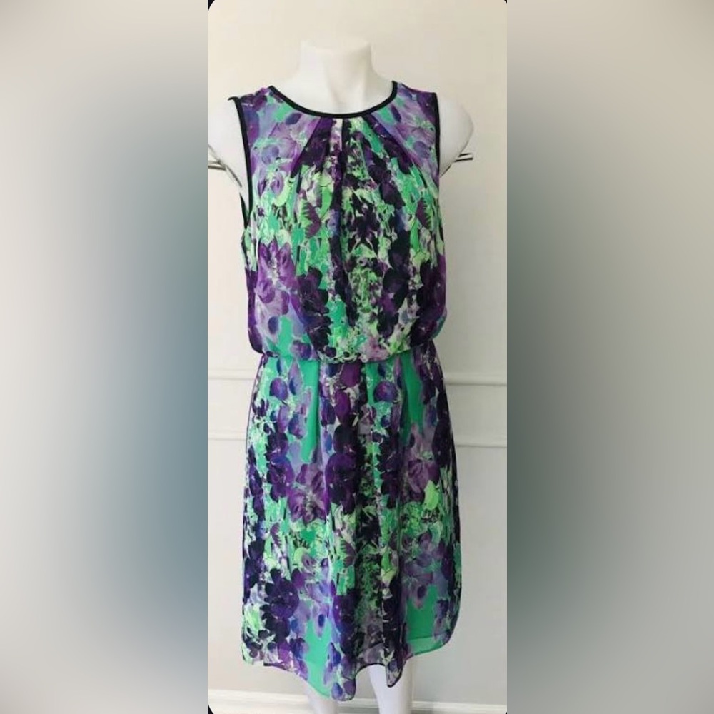 Adrianna Papell Green and Purple Dress